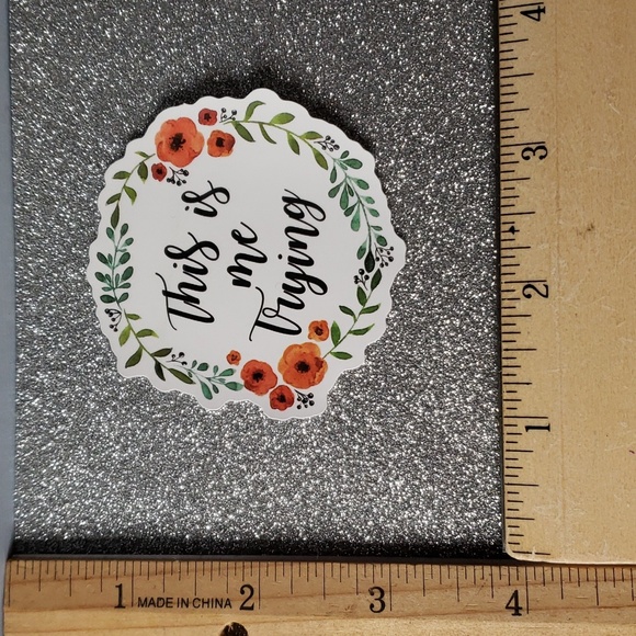 10/$10 Taylor Swift FOLKLORE Waterproof Sticker trying FLOWER - Picture 2 of 7